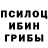 Псилоцибиновые грибы Psilocybe Coco Hen