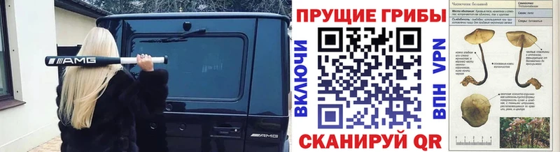 Псилоцибиновые грибы ЛСД  Грайворон 
